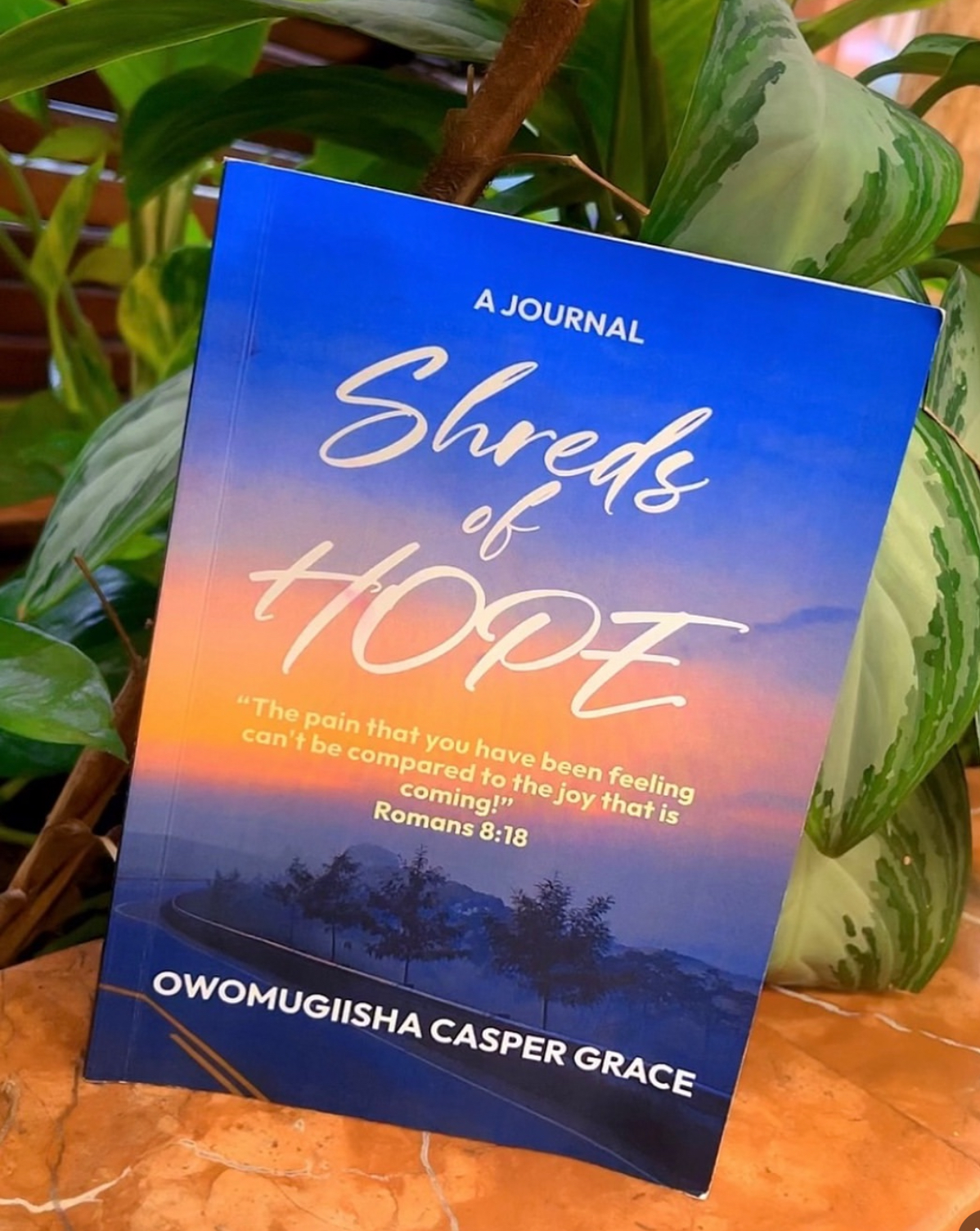 shreds of hope